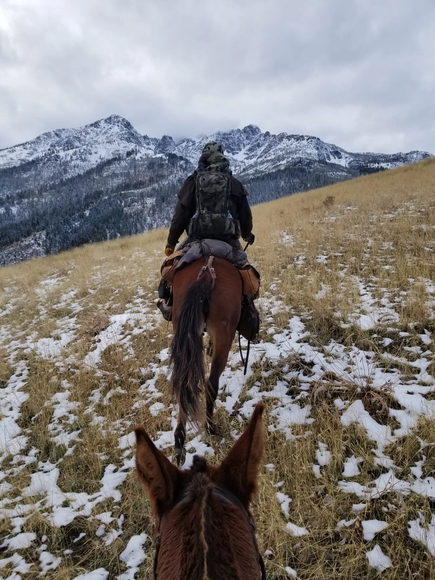 A hunter riding a mule up a snow-dusted grass slope toward snow-capped peaks, leading deeper into the backcountry.